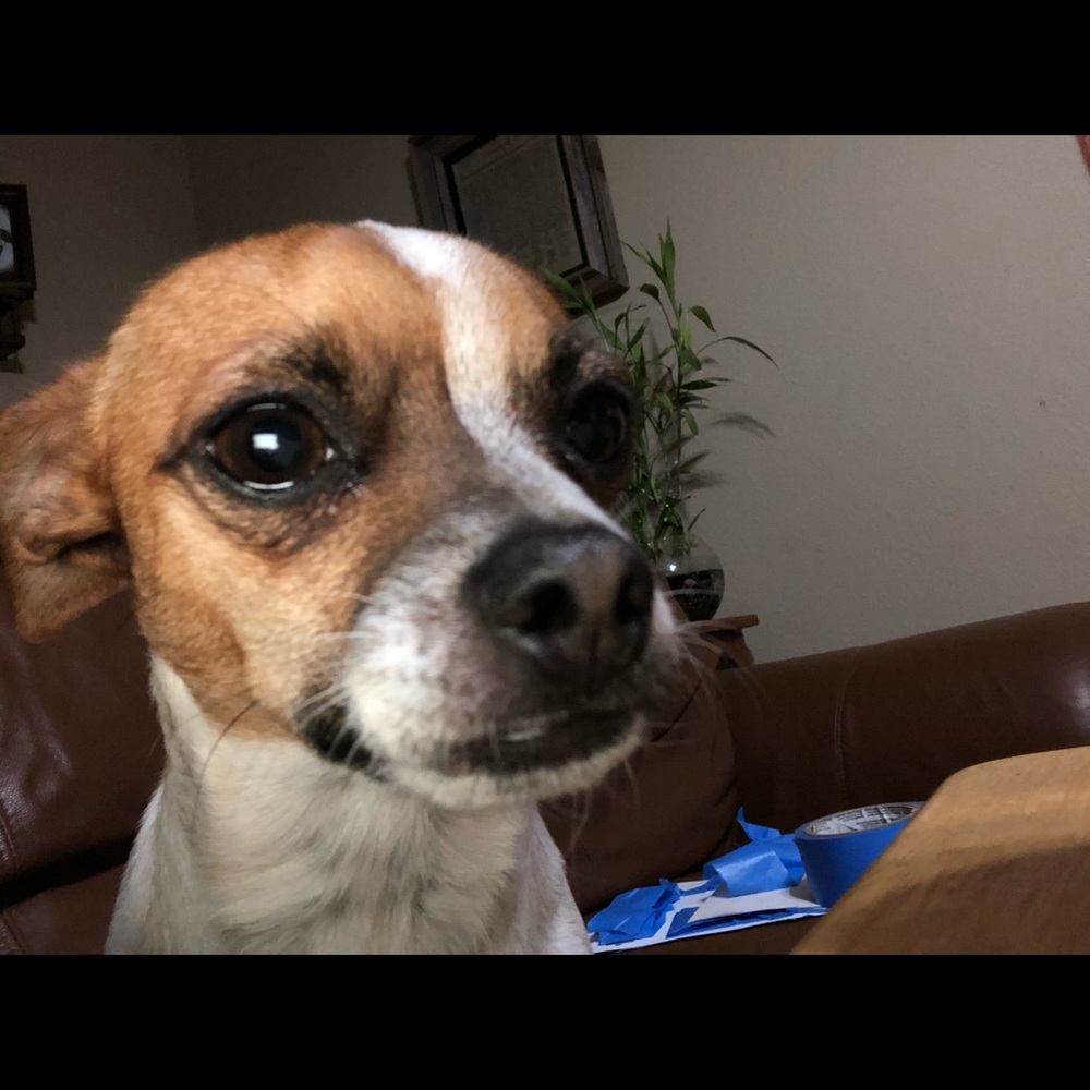 Meet your Posher, Victoria